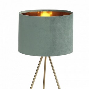 Настольная лампа декоративная ST-Luce FUEGO SL6242.704.01 в Магнитогорске - magnitogorsk.mebel24.online | фото 5