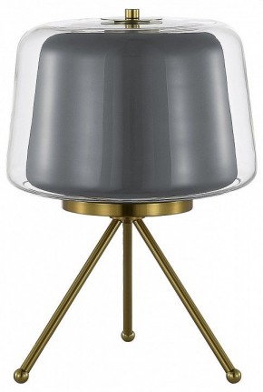 Настольная лампа декоративная ST-Luce Pandora SL6127.314.01 в Магнитогорске - magnitogorsk.mebel24.online | фото
