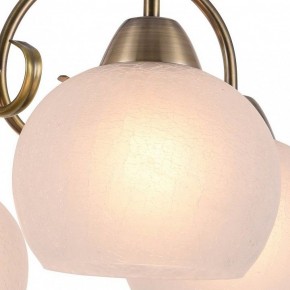 Подвесная люстра Arte Lamp Margo A9317LM-5AB в Магнитогорске - magnitogorsk.mebel24.online | фото 2