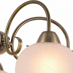 Подвесная люстра Arte Lamp Margo A9317LM-5AB в Магнитогорске - magnitogorsk.mebel24.online | фото 3