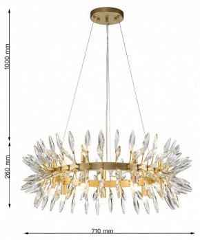 Подвесная люстра Favourite Rays 4058-14P в Магнитогорске - magnitogorsk.mebel24.online | фото 7