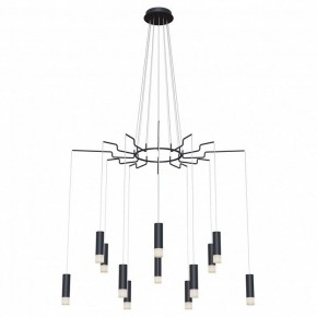 Подвесная люстра Maytoni Davida MOD035PL-12B в Магнитогорске - magnitogorsk.mebel24.online | фото 2