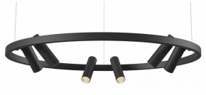 Подвесная люстра Maytoni Halo MOD102PL-L42BK в Магнитогорске - magnitogorsk.mebel24.online | фото