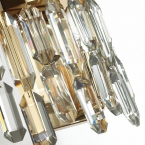 Подвесная люстра Odeon Light Dakisa 4986/12 в Магнитогорске - magnitogorsk.mebel24.online | фото 8