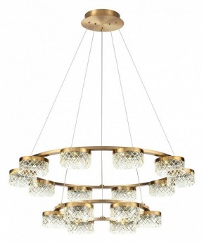 Подвесная люстра Odeon Light Fivre 5032/96L в Магнитогорске - magnitogorsk.mebel24.online | фото 2