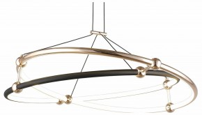 Подвесной светильник Aployt Diana APL.034.03.40 в Магнитогорске - magnitogorsk.mebel24.online | фото 1