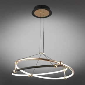 Подвесной светильник Aployt Diana APL.034.03.40 в Магнитогорске - magnitogorsk.mebel24.online | фото 11