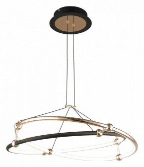 Подвесной светильник Aployt Diana APL.034.03.40 в Магнитогорске - magnitogorsk.mebel24.online | фото 2