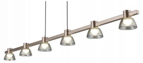Подвесной светильник Aployt Rezeda APL.788.03.06 в Магнитогорске - magnitogorsk.mebel24.online | фото 7