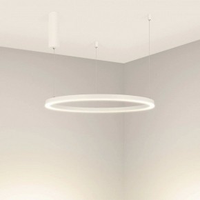 Подвесной светильник Arlight CONGO 046248 в Магнитогорске - magnitogorsk.mebel24.online | фото 2