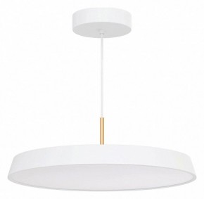 Подвесной светильник Arlight ELEGANT 033925(1) в Магнитогорске - magnitogorsk.mebel24.online | фото 2