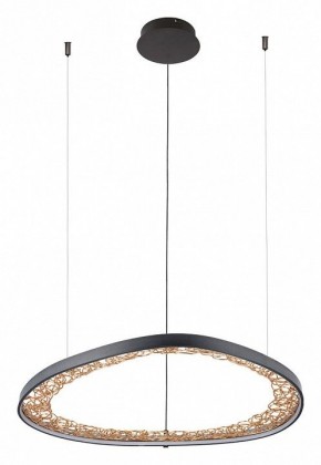 Подвесной светильник Arte Lamp Cinta A1847SP-46BK в Магнитогорске - magnitogorsk.mebel24.online | фото 2
