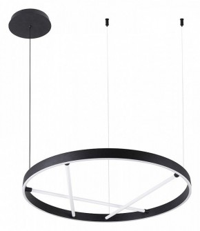 Подвесной светильник Arte Lamp Ricco A1874SP-32BK в Магнитогорске - magnitogorsk.mebel24.online | фото 2