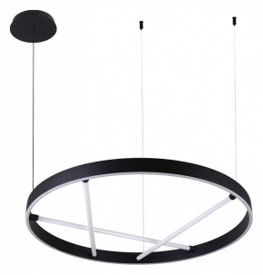 Подвесной светильник Arte Lamp Ricco A1874SP-45BK в Магнитогорске - magnitogorsk.mebel24.online | фото 2