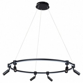 Подвесной светильник Arte Lamp Ring A2186SP-1BK в Магнитогорске - magnitogorsk.mebel24.online | фото 2