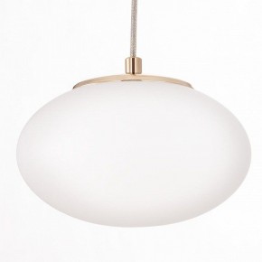 Подвесной светильник Citilux Atman Smart CL226A053 в Магнитогорске - magnitogorsk.mebel24.online | фото 10
