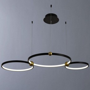 Подвесной светильник Divinare Amadeo 1123/04 SP-75 в Магнитогорске - magnitogorsk.mebel24.online | фото 2