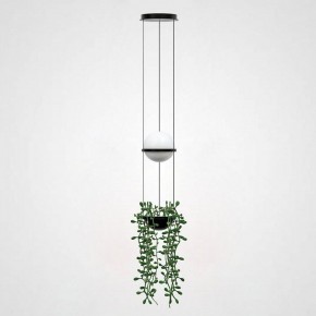 Подвесной светильник Imperiumloft Palma Wall Lamp 22.93727 в Магнитогорске - magnitogorsk.mebel24.online | фото
