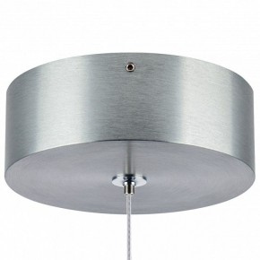 Подвесной светильник Lightstar Colore 805401 в Магнитогорске - magnitogorsk.mebel24.online | фото 7