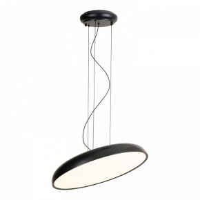 Подвесной светильник Lussole Crook LSP-7360 в Магнитогорске - magnitogorsk.mebel24.online | фото 2