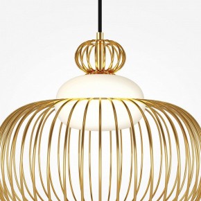 Подвесной светильник Maytoni Levitation MOD376PL-01G в Магнитогорске - magnitogorsk.mebel24.online | фото 6
