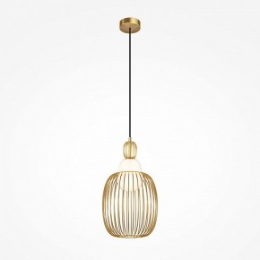 Подвесной светильник Maytoni Levitation MOD376PL-01G1 в Магнитогорске - magnitogorsk.mebel24.online | фото 2