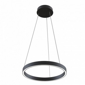 Подвесной светильник Maytoni Rim MOD058PL-L22BK в Магнитогорске - magnitogorsk.mebel24.online | фото 2