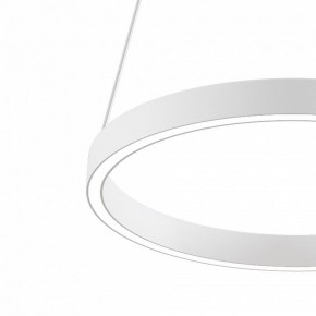 Подвесной светильник Maytoni Rim MOD058PL-L22WK в Магнитогорске - magnitogorsk.mebel24.online | фото 4