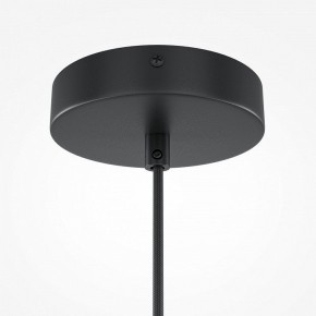 Подвесной светильник Maytoni Roots MOD194PL-01W1 в Магнитогорске - magnitogorsk.mebel24.online | фото 5