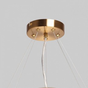 Подвесной светильник MW-Light Илоника 10 451013006 в Магнитогорске - magnitogorsk.mebel24.online | фото 10