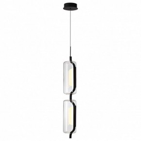 Подвесной светильник Odeon Light Kavia 5003/20L в Магнитогорске - magnitogorsk.mebel24.online | фото 2