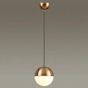 Подвесной светильник Odeon Light Pinga 4960/1 в Магнитогорске - magnitogorsk.mebel24.online | фото 2