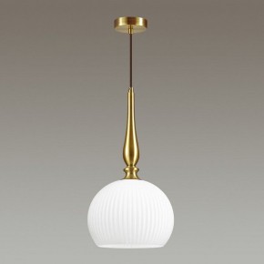 Подвесной светильник Odeon Light Runga 4766/1 в Магнитогорске - magnitogorsk.mebel24.online | фото 4