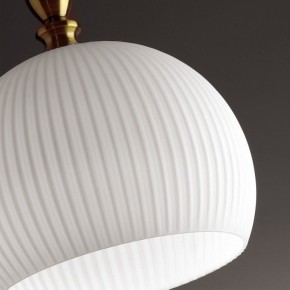 Подвесной светильник Odeon Light Runga 4766/1 в Магнитогорске - magnitogorsk.mebel24.online | фото 8