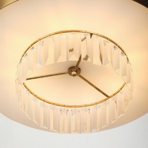 Подвесной светильник Rivoli Vickie Б0061902 в Магнитогорске - magnitogorsk.mebel24.online | фото 11