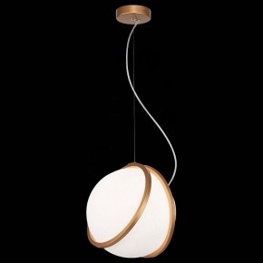 Подвесной светильник ST-Luce Acerra SL1181.353.01 в Магнитогорске - magnitogorsk.mebel24.online | фото 4