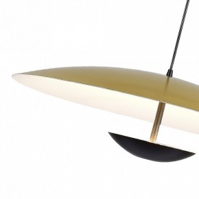 Подвесной светильник ST-Luce Armonico SL6502.213.01 в Магнитогорске - magnitogorsk.mebel24.online | фото
