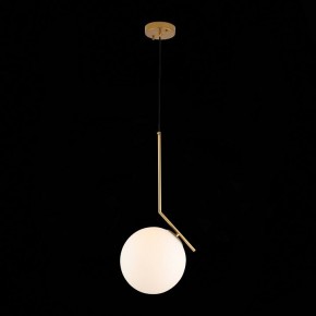 Подвесной светильник ST-Luce Codda SL1148.303.01 в Магнитогорске - magnitogorsk.mebel24.online | фото 5