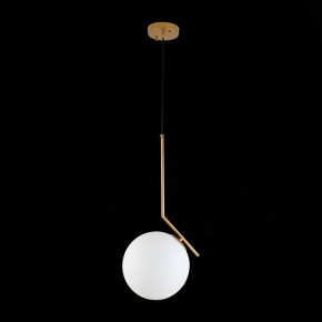 Подвесной светильник ST-Luce Codda SL1148.303.01 в Магнитогорске - magnitogorsk.mebel24.online | фото 6