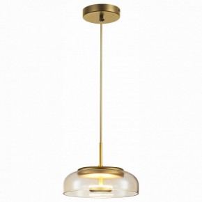 Подвесной светильник ST-Luce Lacio SL6002.203.01 в Магнитогорске - magnitogorsk.mebel24.online | фото