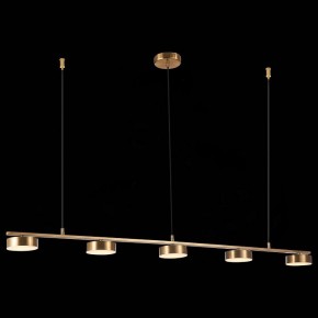 Подвесной светильник ST-Luce Pances SL6000.303.05 в Магнитогорске - magnitogorsk.mebel24.online | фото 5