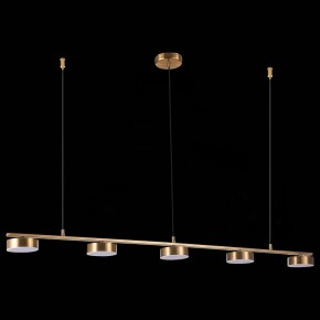 Подвесной светильник ST-Luce Pances SL6000.303.05 в Магнитогорске - magnitogorsk.mebel24.online | фото 6