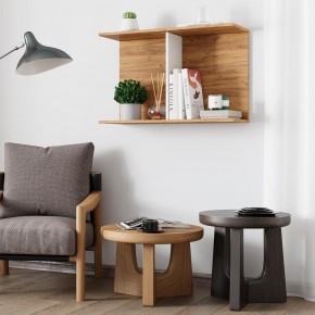 Полка Ион-3 (крафт/белый) в Магнитогорске - magnitogorsk.mebel24.online | фото 3