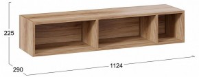 Полка навесная ТД-102.28 в Магнитогорске - magnitogorsk.mebel24.online | фото 9