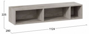 Полка навесная ТД-102.28 в Магнитогорске - magnitogorsk.mebel24.online | фото 8