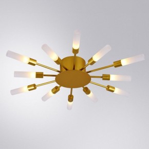 Потолочная люстра Arte Lamp Maple A1276PL-12GO в Магнитогорске - magnitogorsk.mebel24.online | фото 1
