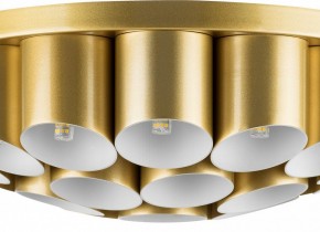 Потолочная люстра Lightstar Siena 720222 в Магнитогорске - magnitogorsk.mebel24.online | фото 3