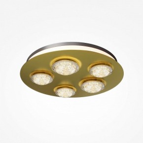 Потолочная люстра Maytoni Pharao MOD361CL-L58BS3K в Магнитогорске - magnitogorsk.mebel24.online | фото