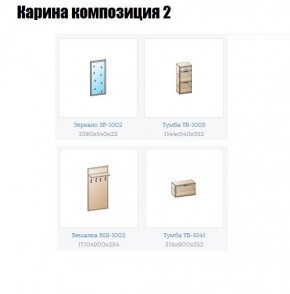 Прихожая Карина (модульная) в Магнитогорске - magnitogorsk.mebel24.online | фото 6