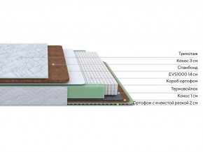 PROxSON Матрас Green Duo M/F (Tricotage Dream) 120x195 в Магнитогорске - magnitogorsk.mebel24.online | фото 2